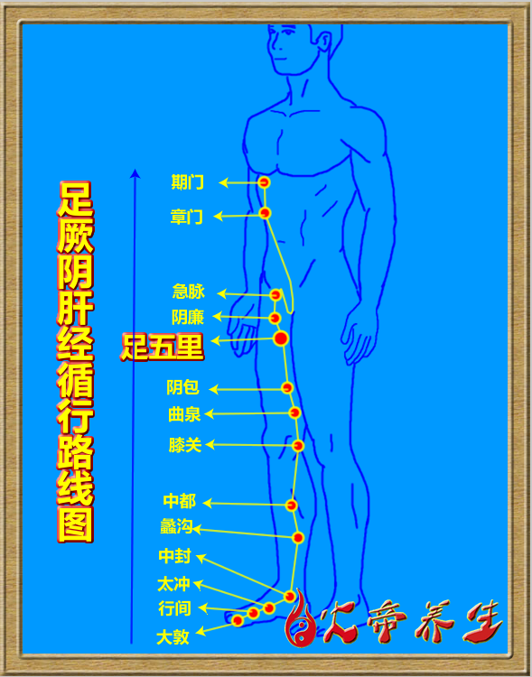 倪海厦针灸笔记（三四五）足厥阴肝经/足五里穴