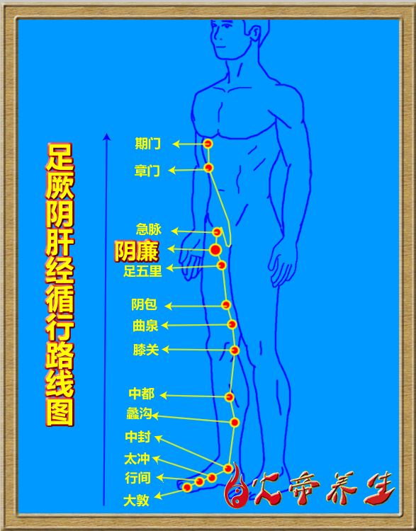 倪海厦针灸笔记（三四六）足厥阴肝经/阴廉穴