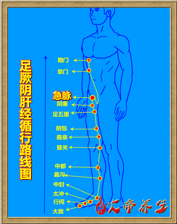 倪海厦针灸笔记（三四七）足厥阴肝经/急脉