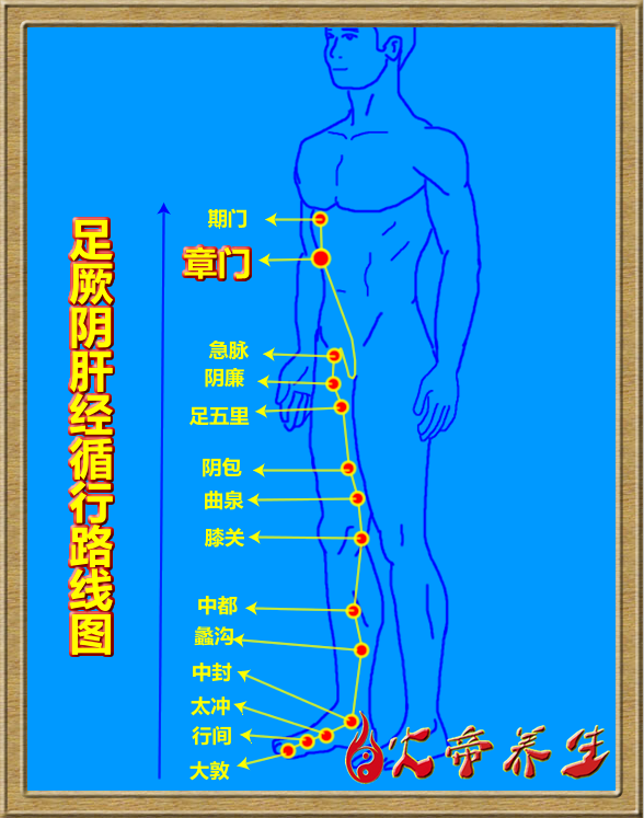 倪海厦针灸笔记（三四八）足厥阴肝经/章门穴