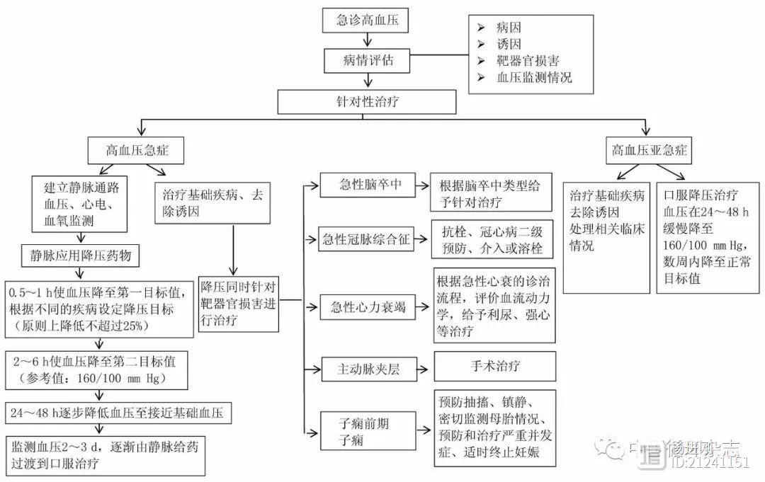 中国2017急诊高血压诊疗专家共识：不要盲目降压，并非越快越好，不宜使用强力利尿药