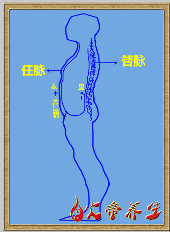 倪海厦针灸笔记（三五一）奇经八脉