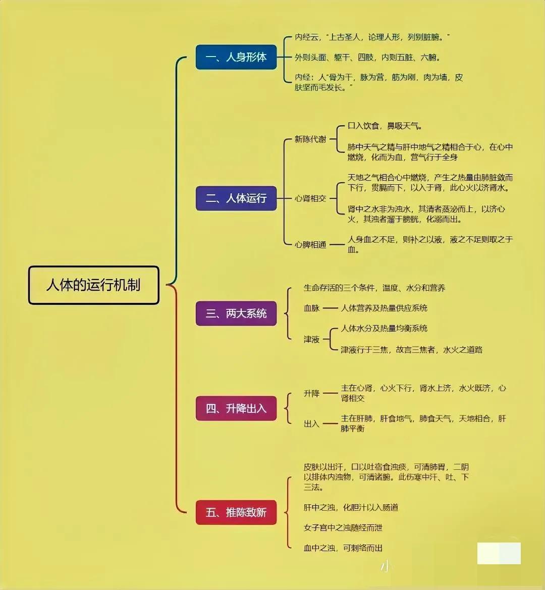 人体运行机制[给力][给力]