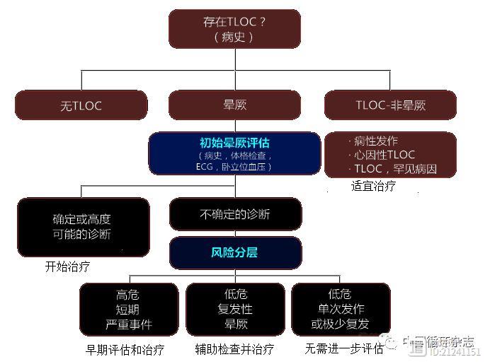 ESC新版晕厥指南：强调危险分层，运动或卧位时晕厥为高危患者