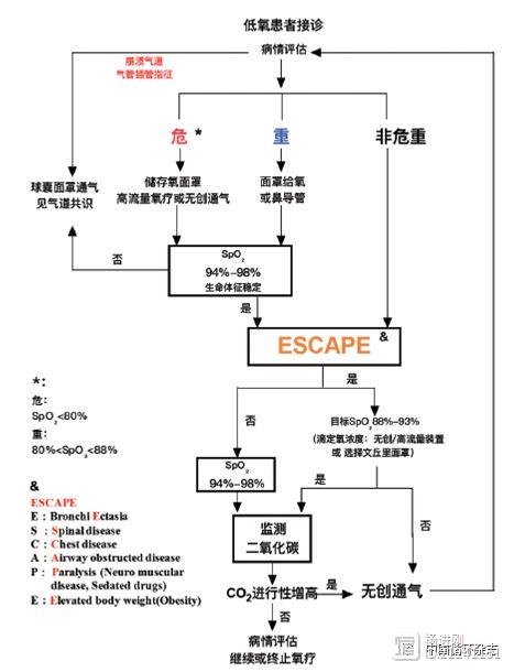 急诊氧气治疗专家共识：无低氧血症者不推荐氧疗