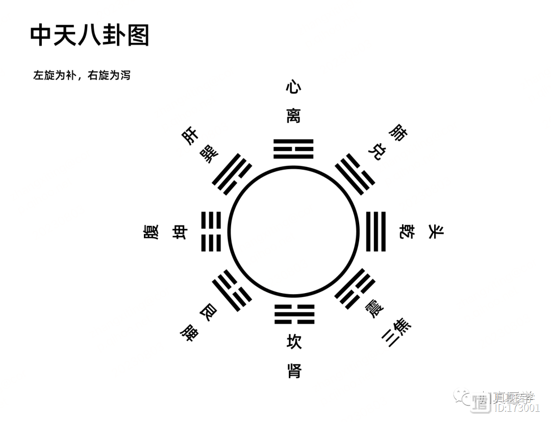 归真第七十六讲：针灸（五）