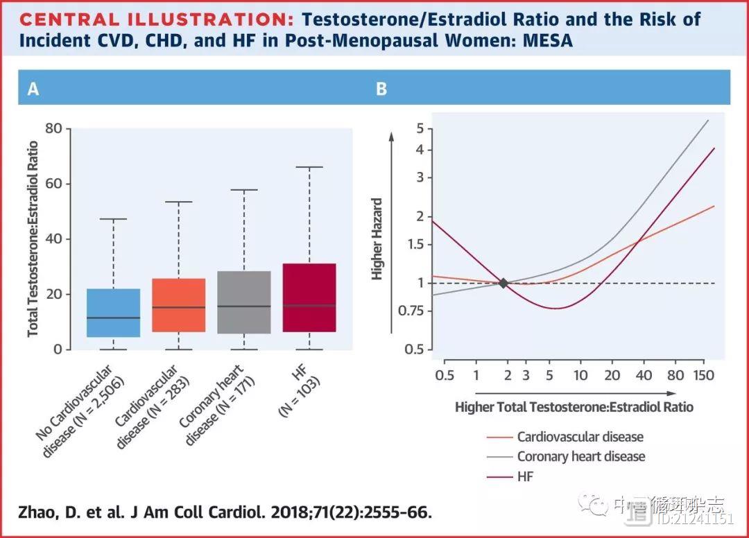 JACC研究：绝经后女性睾酮/雌二醇比值升高则心血管事件风险增加
