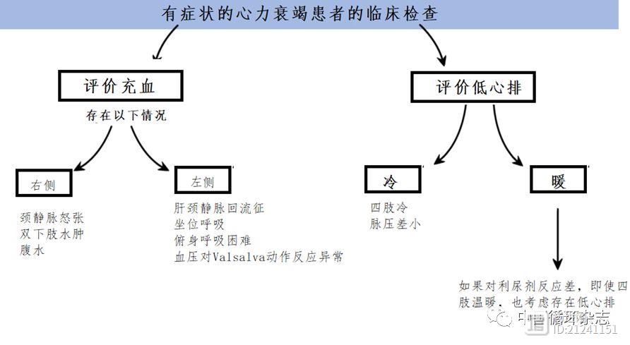 JACC心衰子刊：一图读懂心衰体检，九个体征可了解体循环淤血、肺淤血和低心排情况