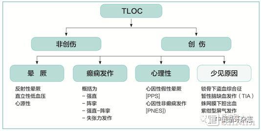 欧洲晕厥指南两大主席同台讲解2018指南：患者教育是反射性晕厥治疗基石