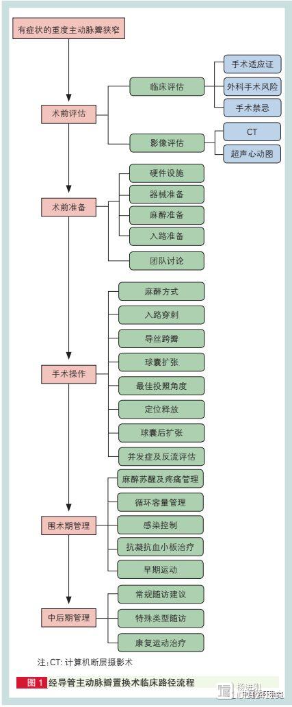 中国TAVR临床路径专家共识发布：强调心脏团队，确保 TAVR“量、质”齐增