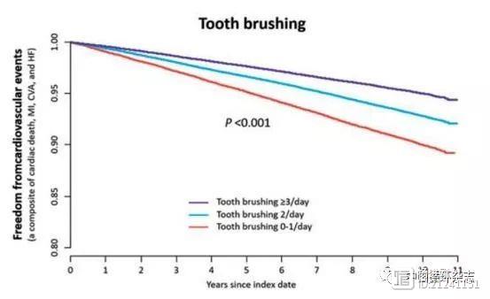 欧洲心脏杂志刊登韩国25万人跟踪10年研究：每天刷三次牙，预防心血管病最好