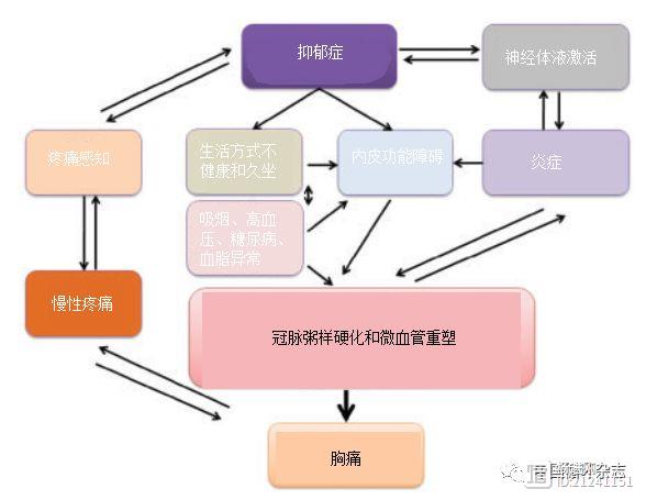 欧洲心脏病学会“抑郁和冠心病”声明：建议冠心病患者筛查抑郁，怀疑者应转专科治疗