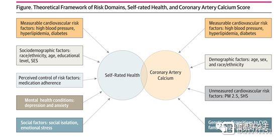 JAMA子刊研究称，健康靠“自我感觉”不靠谱；平时身体贼好，也会突发心脏病或中风