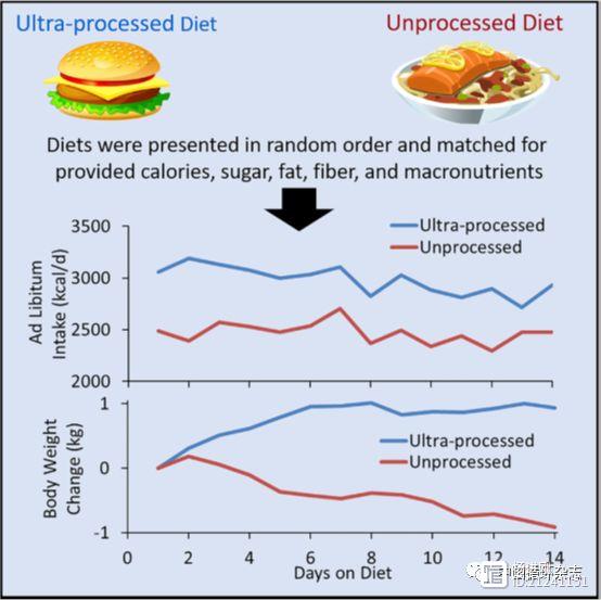 美国国立卫生研究所试验发现，深加工食物可致饮食过度和肥胖