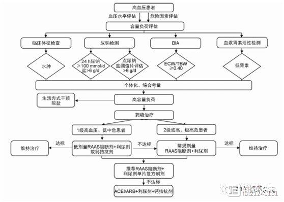 高血压评估容量负荷建议：推荐评估吃盐量，首选RAAS阻断剂 利尿剂