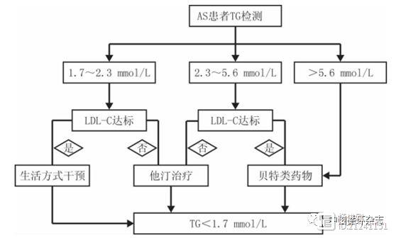 动脉粥样硬化甘油三酯管理共识：少糖、少油腻、少饮酒、多运动，该用药就用药