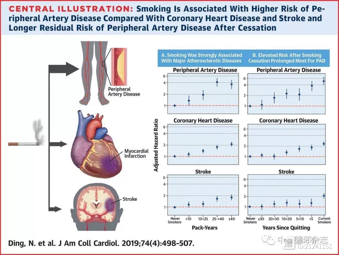 JACC研究：吸烟增加冠心病风险，戒烟后高风险还持续20年