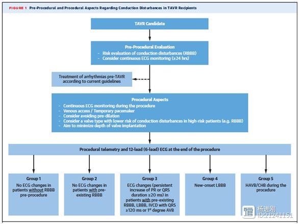 TAVR术后心脏传导障碍专家共识：完全性右束支阻滞者为高危