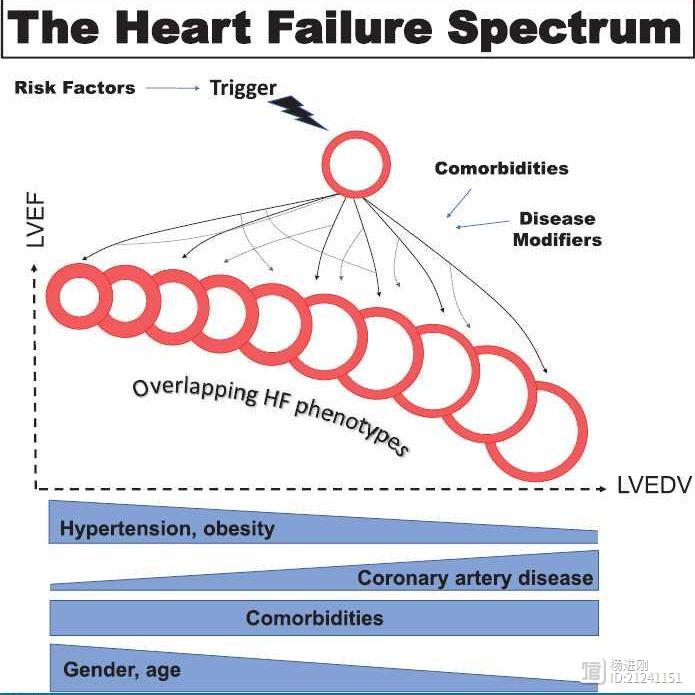 40位专家在欧洲心脏杂志刊文呼吁：“用射血分数对心衰分类”过于简化