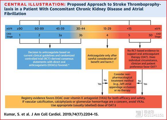 JACC专题文章：有慢性肾病的房颤患者抗凝，应优选直接口服抗凝剂