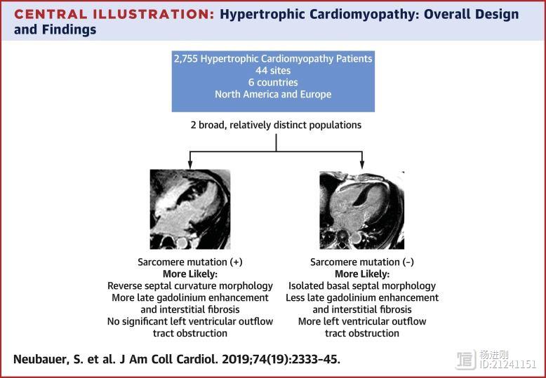 JACC最大样本肥厚心肌病注册：36%有肌节蛋白基因突变