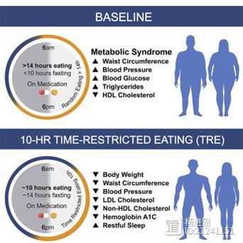 一日三餐限制在10小时内有助减肥！Cell代谢子刊研究：坚持3月，还有降“三高”作用