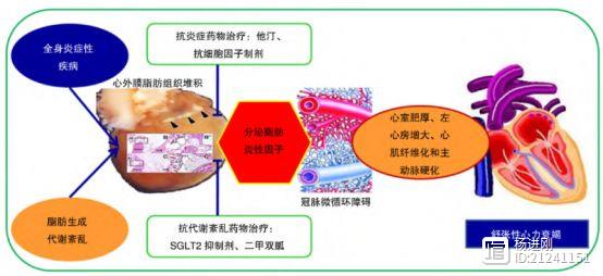 中国舒张性心衰共识：他汀、SGLT2抑制剂、二甲双胍或有效