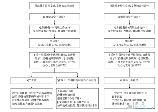 电风暴优选非选择性β阻滞剂！加拿大声明