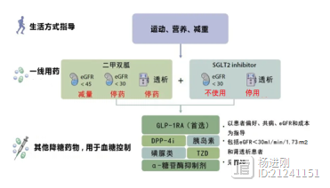 二甲双胍联合SGLT-2抑制剂应作为首选！KDIGO发布糖尿病肾病管理指南