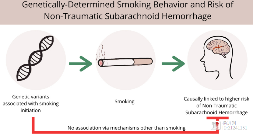烟民蛛网膜下腔出血风险高！耶鲁大学研究