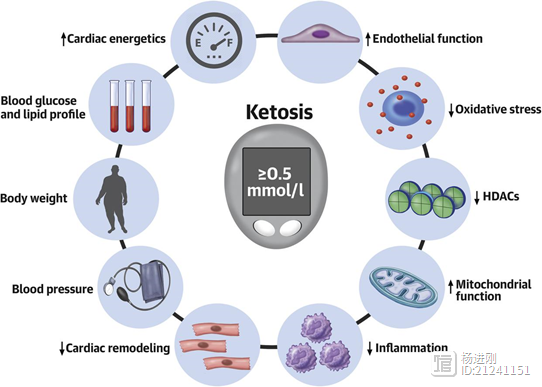 生酮饮食对心衰患者有益！？JACC焦点文章