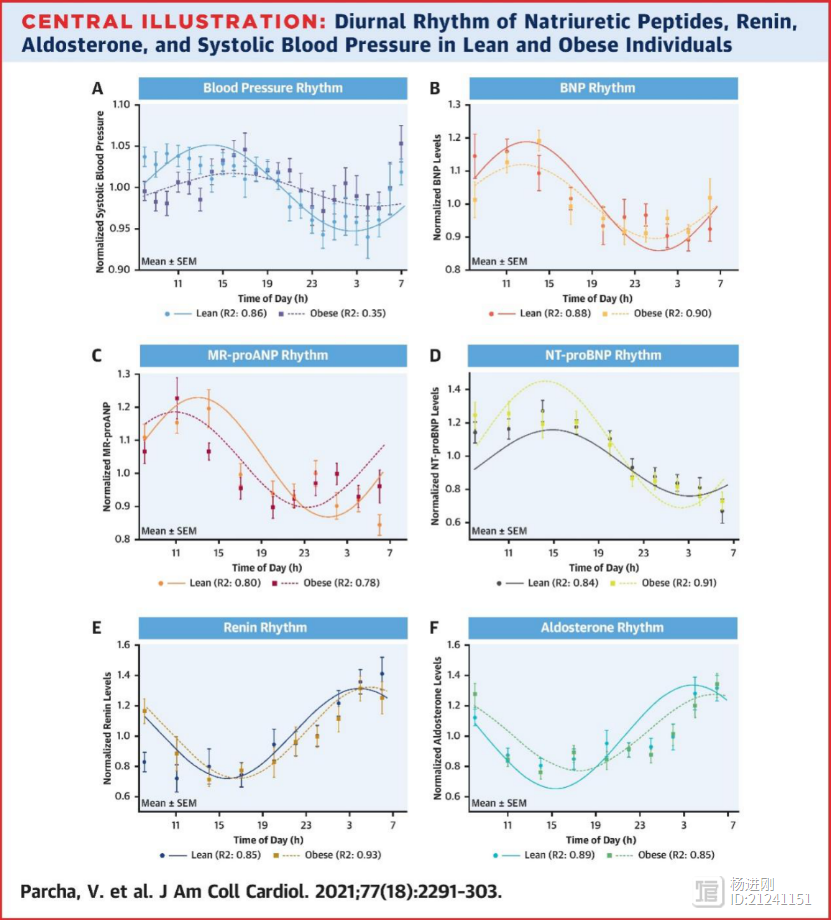 肥胖者夜间血压高揭秘：或因利钠肽-血压轴紊乱！JACC研究