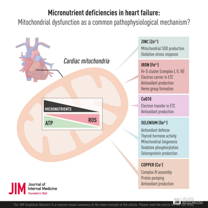 心衰时补充微量元素，证据充足吗？综述和专家观点不一致