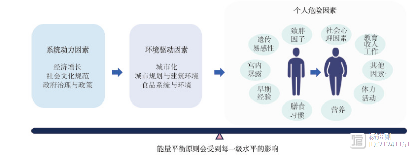 营养干预是生活方式干预的核心！中国居民肥胖防治专家共识