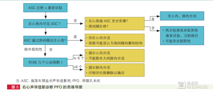 诊断卵圆孔未闭有金标准！中国共识