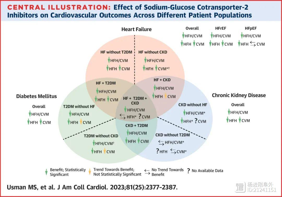 心衰、糖尿病和慢性肾病，应广泛应用SGLT2i！JACC杂志Meta分析