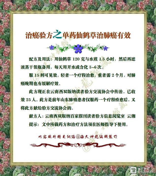 图文：治癌验方之单药仙鹤草治肺癌有效