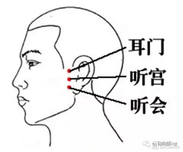 耳鸣、耳聋—耳三针