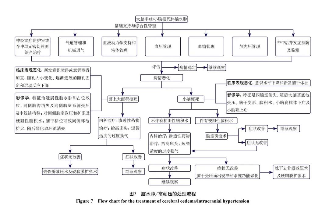 中国脑血管病临床管理指南（第2版）（节选）——缺血性脑血管病临床管理推荐意见（下）