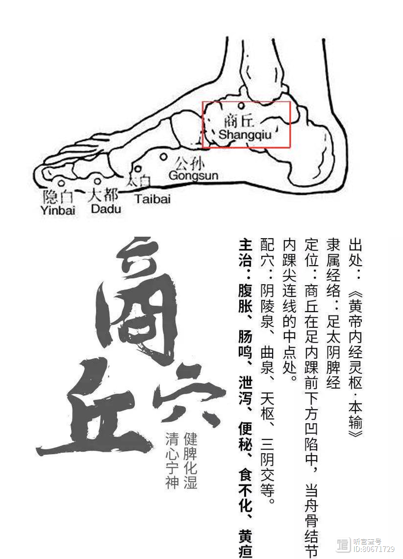 此穴，健脾的同时，可排毒！