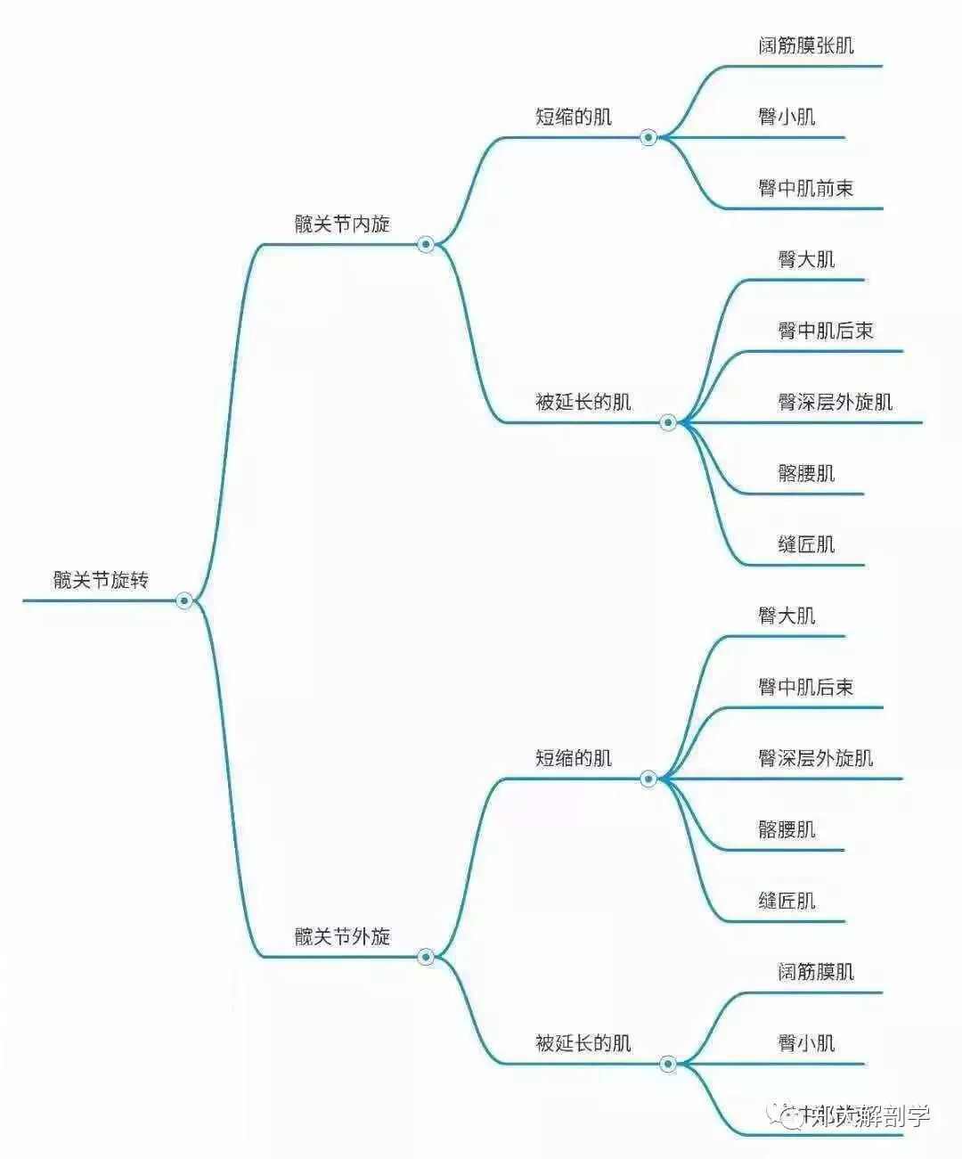 全身异常体态姿势解剖学分析（思维导图）