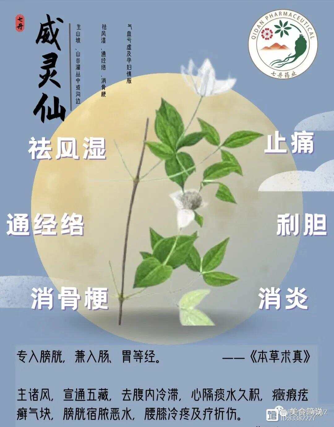 简单一组中药方子，打通全身经络，一身轻松