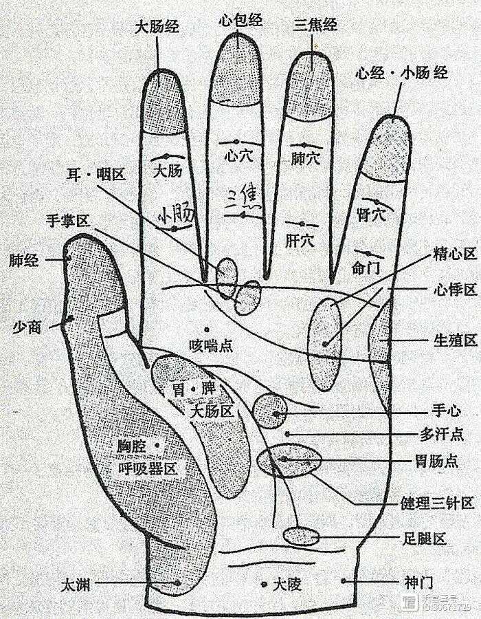 哮喘，此方法可救急，也可预防！