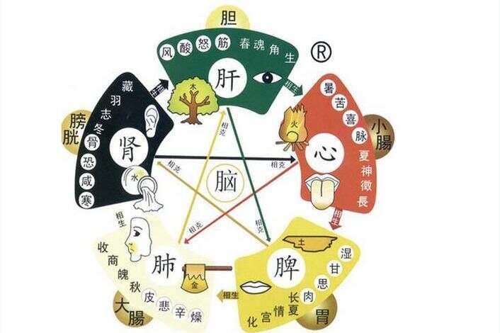 津液不足,身体会发出的五个信号