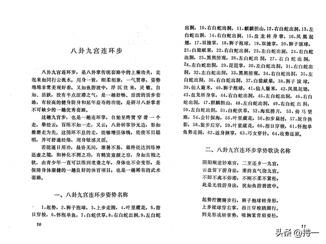 八卦掌上乘功夫：八卦九宫连环步 行云流水 周身一家 刚柔相济