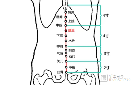 常按此穴，祛湿还减肥！