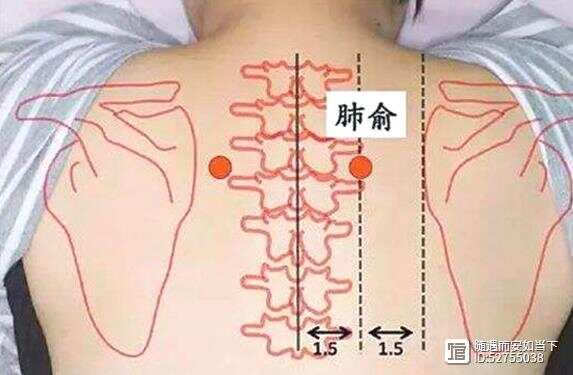 ZY操作—肺俞、孔最 单手进针法配合刮法（YS）