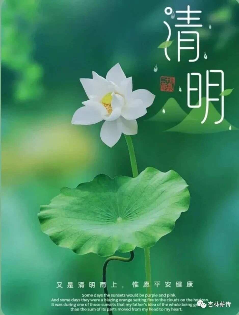 医林采撷——名老中医的“角药”