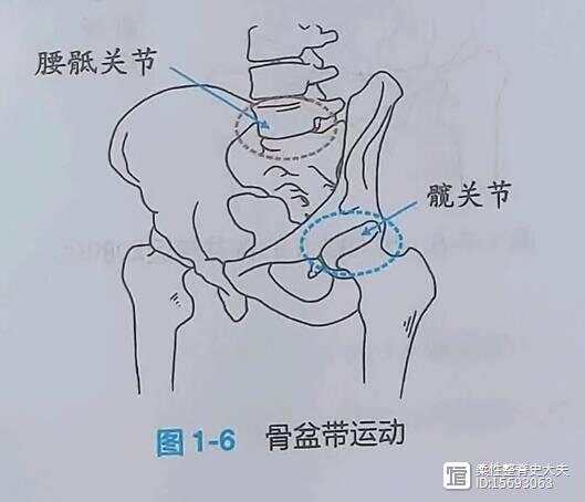 柔性整脊，平衡疼痛----骨盆的运动