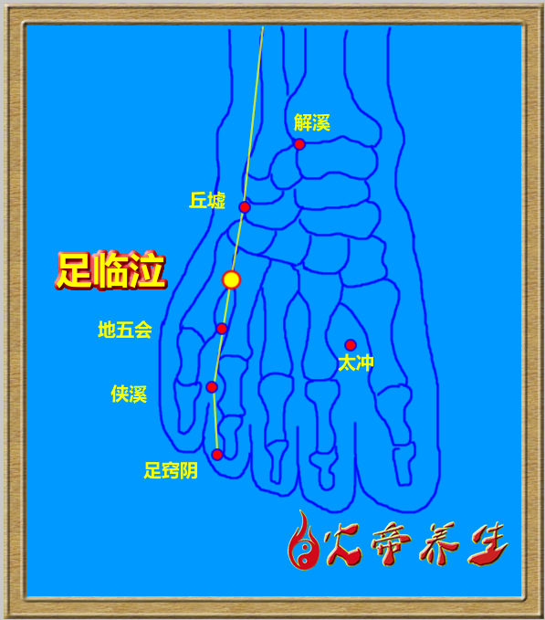 倪海厦针灸笔记（四五八）临床扎针十二/带脉痛的针法